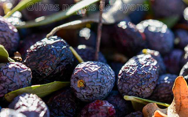 Les olives de Nyons