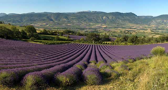 Tourisme dans la Drôme provençale